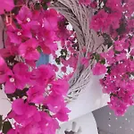 Hotel Doron Delfini Naxos City