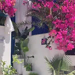 Hotel Doron Delfini