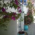 Hotel Doron Delfini *