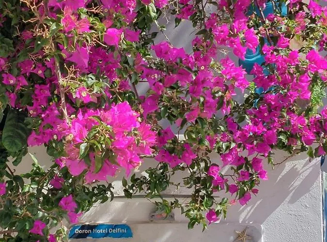 Doron Delfini * Naxos City