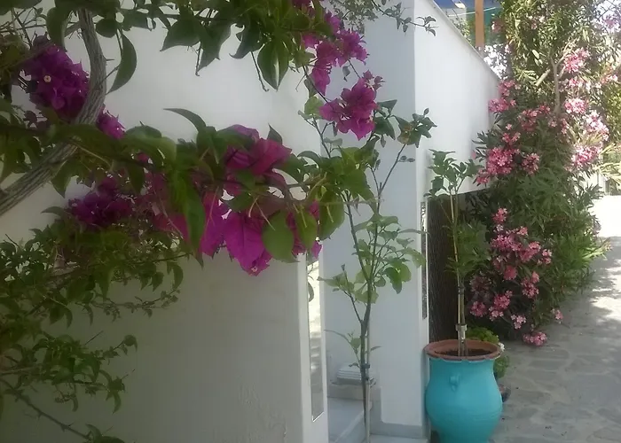 Hotel Doron Delfini *