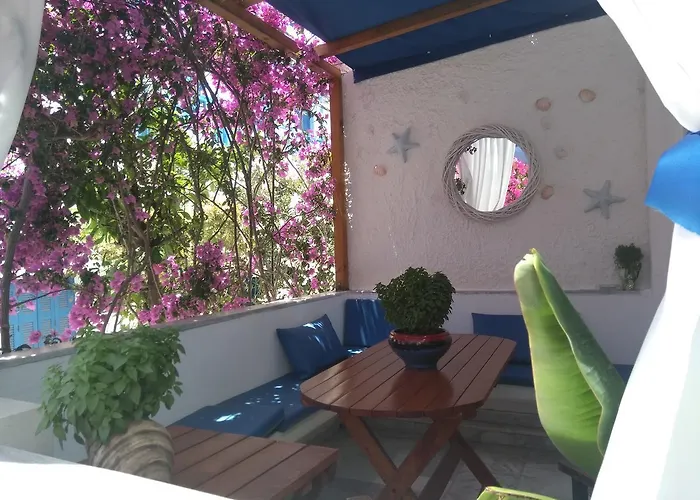 Doron Delfini * Naxos City