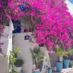 Doron Delfini