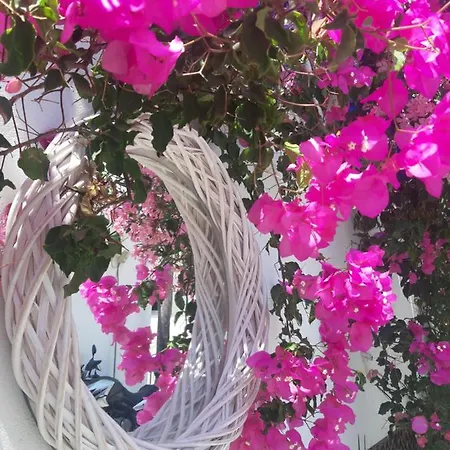 Hotel Doron Delfini Naxos City