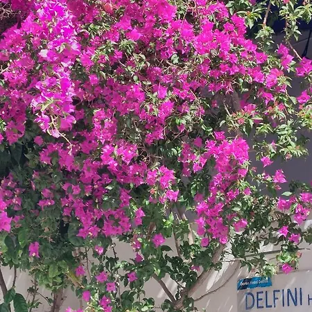 מלון Doron Delfini Naxos City