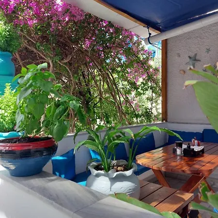 Doron Delfini * Naxos City