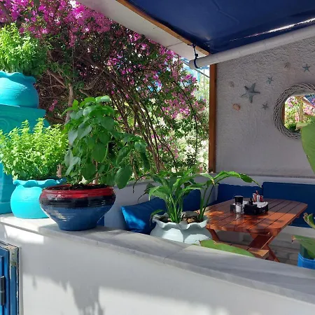 מלון Doron Delfini