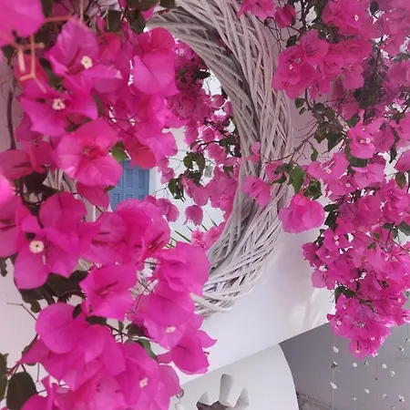 מלון Doron Delfini Naxos City