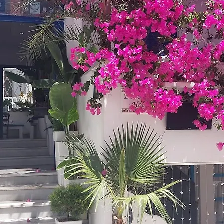 Doron Delfini Hotel