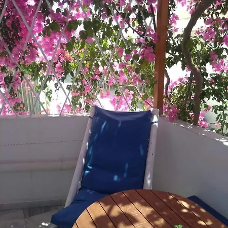 Hotel Doron Delfini *