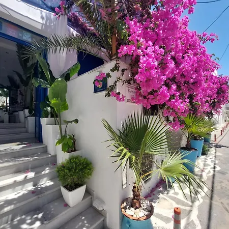 Doron Delfini * Naxos City