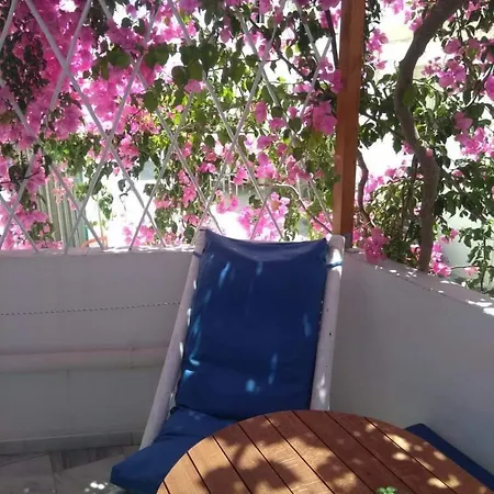 מלון Doron Delfini