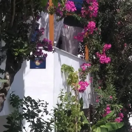 מלון Doron Delfini