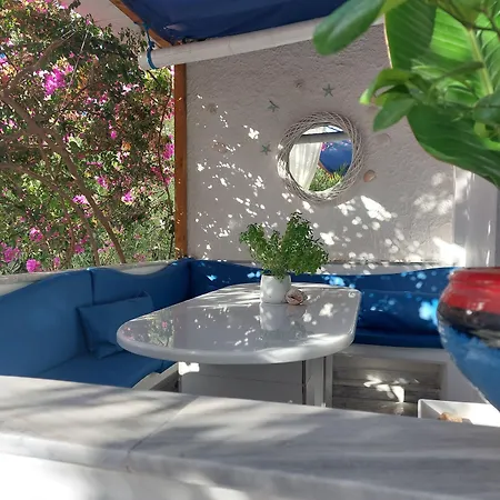 Doron Delfini * Naxos City