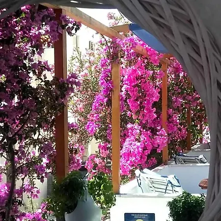 Hotel Doron Delfini