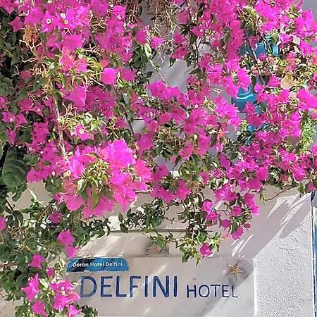 Doron Delfini Hotel *