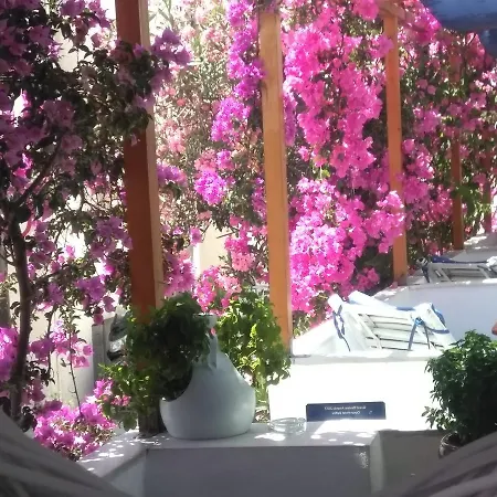 Doron Delfini מלון