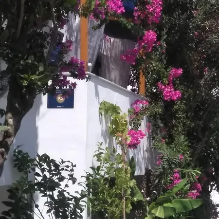 Doron Delfini Hotel