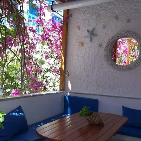 Doron Delfini מלון