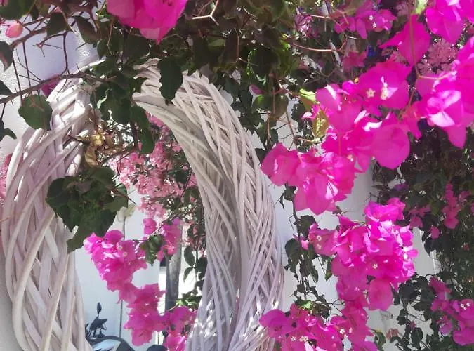 Szálloda Doron Delfini Naxos City