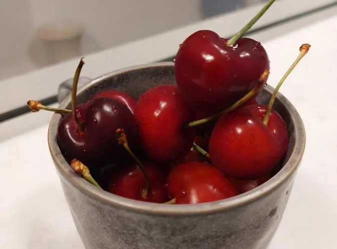 Szálloda Doron Delfini Naxos City