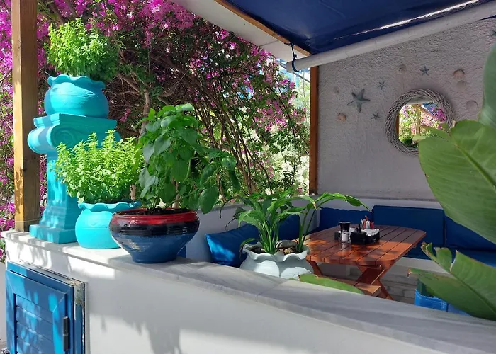 Szálloda Doron Delfini