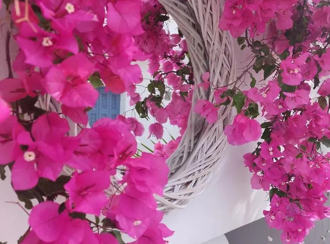 Szálloda Doron Delfini Naxos City