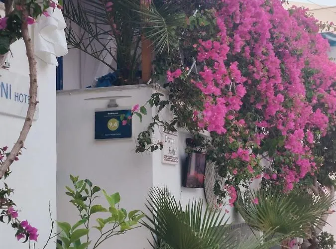 Doron Delfini Szálloda *