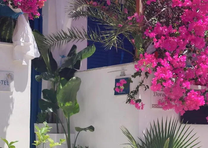 Szálloda Doron Delfini