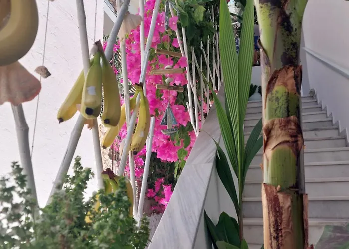 Szálloda Doron Delfini Naxos City