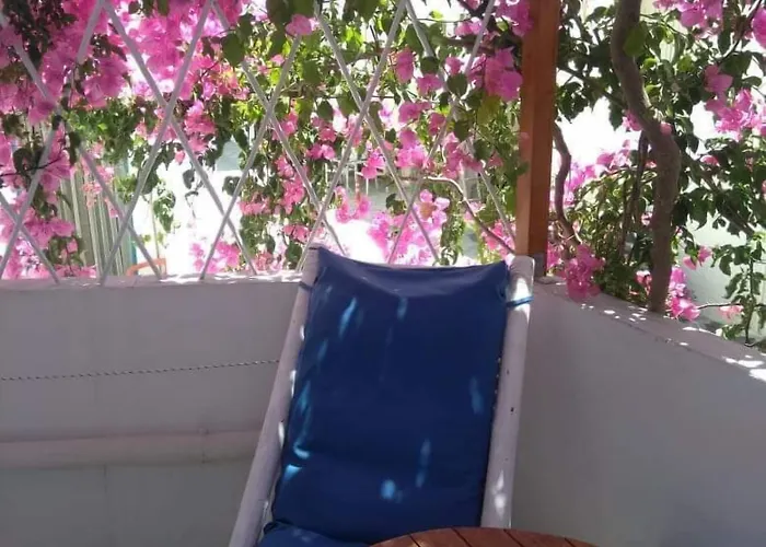 Szálloda Doron Delfini