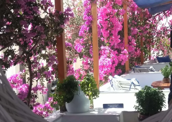 Doron Delfini * Naxos City