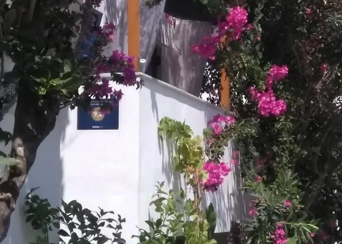 Szálloda Doron Delfini