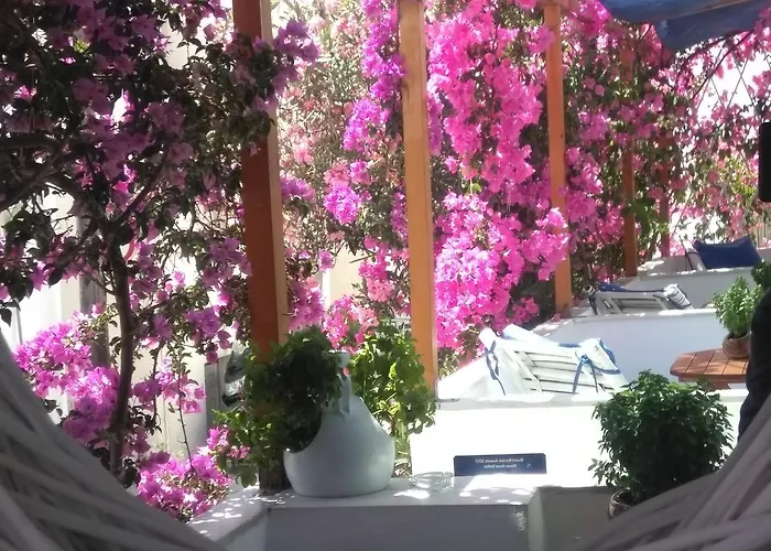 Doron Delfini Szálloda