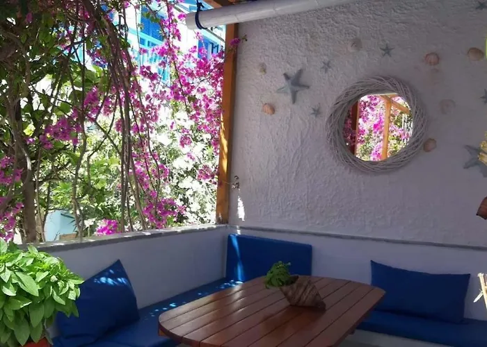 Doron Delfini Szálloda